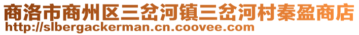 商洛市商州區三岔河鎮三岔河村秦盈商店