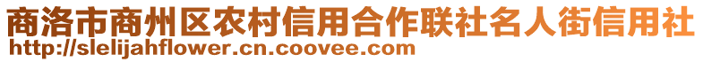 商洛市商州區(qū)農(nóng)村信用合作聯(lián)社名人街信用社