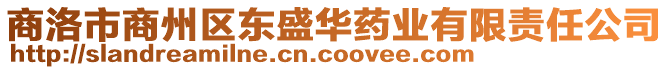 商洛市商州區(qū)東盛華藥業(yè)有限責任公司