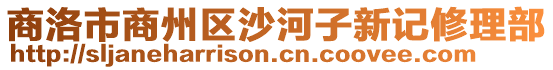 商洛市商州區沙河子新記修理部