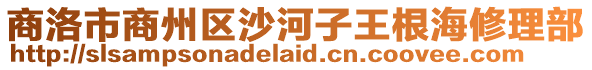 商洛市商州區(qū)沙河子王根海修理部