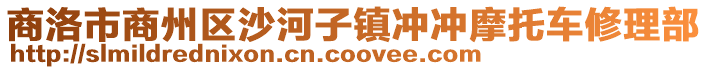 商洛市商州區沙河子鎮沖沖摩托車修理部