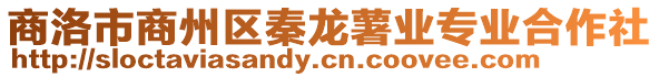 商洛市商州區秦龍薯業專業合作社