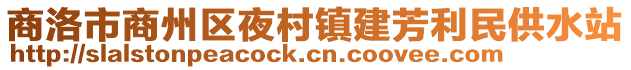商洛市商州區夜村鎮建芳利民供水站