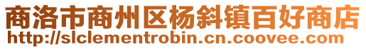 商洛市商州區(qū)楊斜鎮(zhèn)百好商店