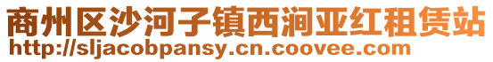商州區沙河子鎮西澗亞紅租賃站