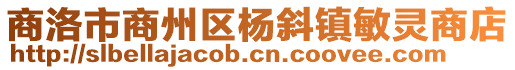 商洛市商州區楊斜鎮敏靈商店
