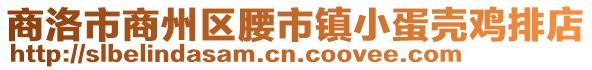 商洛市商州區腰市鎮小蛋殼雞排店