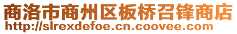 商洛市商州區(qū)板橋召鋒商店