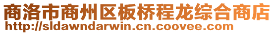 商洛市商州區(qū)板橋程龍綜合商店