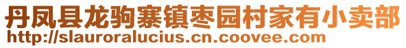 丹鳳縣龍駒寨鎮(zhèn)棗園村家有小賣部