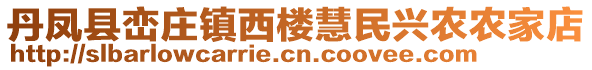 丹鳳縣巒莊鎮(zhèn)西樓慧民興農(nóng)農(nóng)家店