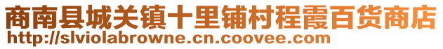 商南縣城關(guān)鎮(zhèn)十里鋪村程霞百貨商店