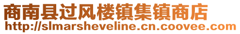 商南縣過(guò)風(fēng)樓鎮(zhèn)集鎮(zhèn)商店