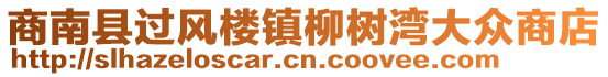 商南縣過風(fēng)樓鎮(zhèn)柳樹灣大眾商店