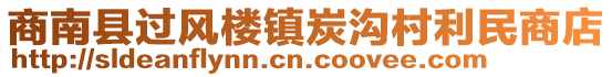 商南縣過(guò)風(fēng)樓鎮(zhèn)炭溝村利民商店