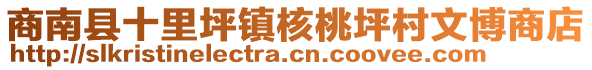 商南縣十里坪鎮(zhèn)核桃坪村文博商店