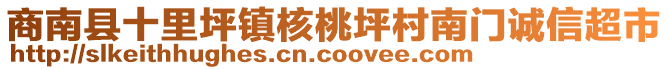 商南縣十里坪鎮(zhèn)核桃坪村南門誠信超市