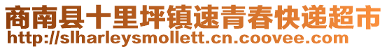 商南縣十里坪鎮(zhèn)速青春快遞超市