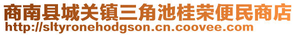 商南縣城關(guān)鎮(zhèn)三角池桂榮便民商店