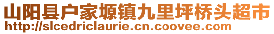 山阳县户家塬镇九里坪桥头超市