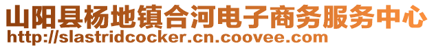 山阳县杨地镇合河电子商务服务中心