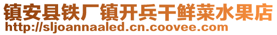 镇安县铁厂镇开兵干鲜菜水果店