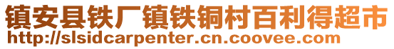 鎮(zhèn)安縣鐵廠鎮(zhèn)鐵銅村百利得超市