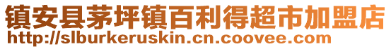 镇安县茅坪镇百利得超市加盟店