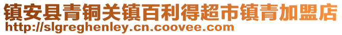 镇安县青铜关镇百利得超市镇青加盟店