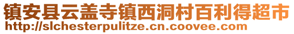 鎮(zhèn)安縣云蓋寺鎮(zhèn)西洞村百利得超市