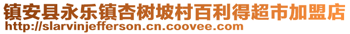 鎮(zhèn)安縣永樂鎮(zhèn)杏樹坡村百利得超市加盟店