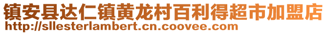 镇安县达仁镇黄龙村百利得超市加盟店