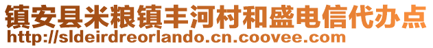 镇安县米粮镇丰河村和盛电信代办点