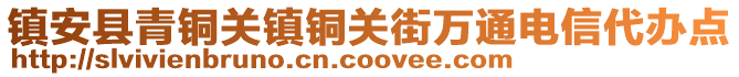 镇安县青铜关镇铜关街万通电信代办点