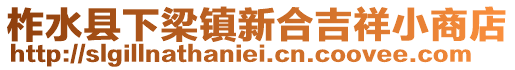 柞水县下梁镇新合吉祥小商店