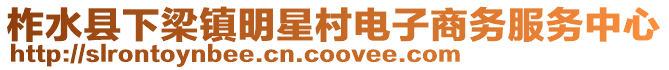 柞水县下梁镇明星村电子商务服务中心