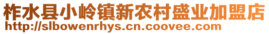 柞水县小岭镇新农村盛业加盟店