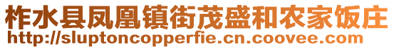 柞水县凤凰镇街茂盛和农家饭庄