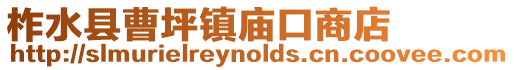 柞水縣曹坪鎮(zhèn)廟口商店