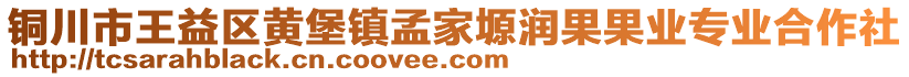 铜川市王益区黄堡镇孟家塬润果果业专业合作社