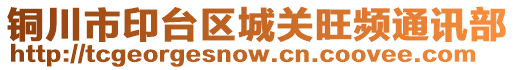 铜川市印台区城关旺频通讯部