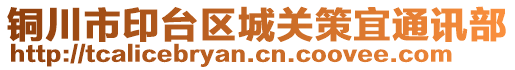 銅川市印臺區(qū)城關(guān)策宜通訊部