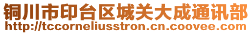 銅川市印臺區(qū)城關大成通訊部