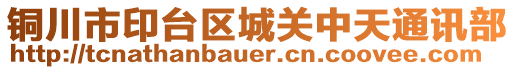 铜川市印台区城关中天通讯部