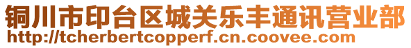 銅川市印臺(tái)區(qū)城關(guān)樂(lè)豐通訊營(yíng)業(yè)部