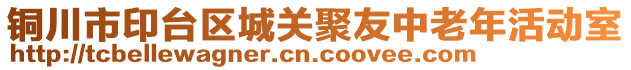 銅川市印臺區城關聚友中老年活動室