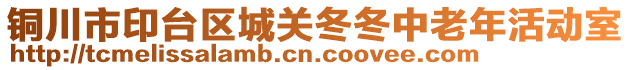 銅川市印臺區(qū)城關(guān)冬冬中老年活動室