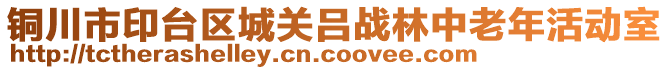 銅川市印臺(tái)區(qū)城關(guān)呂戰(zhàn)林中老年活動(dòng)室