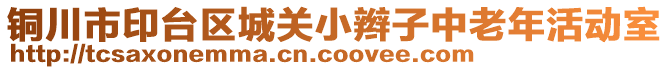 銅川市印臺區城關小辮子中老年活動室
